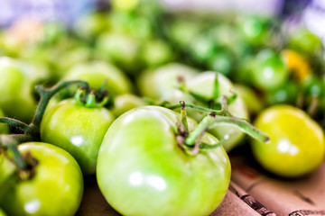 Macro closeup of many small unripe green tomatoes on vine from garden on table