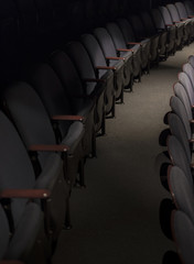 Rows of Theatre Auditorium Lecture Hall Chairs
