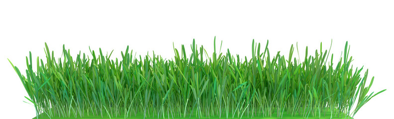 Green grass. Natural grass texture background. Meadow. Spring, summer season. Plant growth 3d rendering