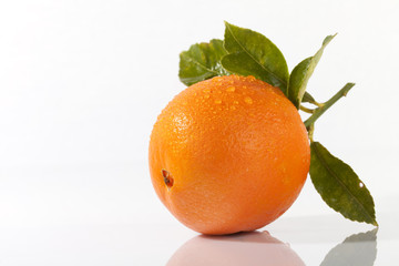A freshly picked fresh organic orange with leaves on white