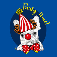 Funny dog in a clown hood, tie and with a clown nose. Vector illustration. A circus, a holiday and a party.