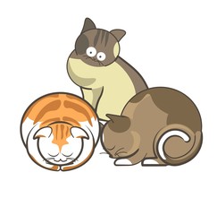 Cute cats pets or kittens playing or posing sleeping vector flat icons