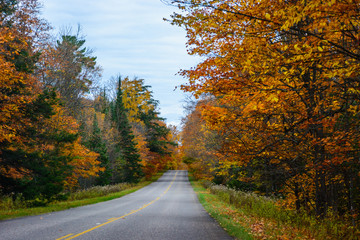 Obraz premium Fall road in Pictured Rocks National Lakeshore, Munising, MI, USA