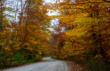 Obraz premium Fall road in forest of Pictured Rocks National Lakeshore Munising. Trees tunnel.