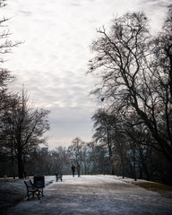 Walking through a park in winter - 194447695