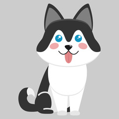 Cute dog of the Husky breed. Vector illustration