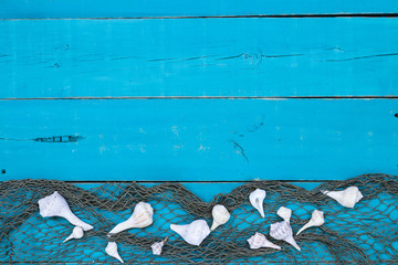 Blank rustic antique teal blue wood sign with seashells and fish netting border; wooden painted background with copy space