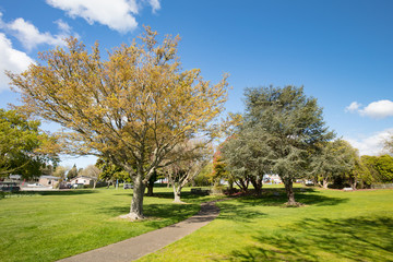 Kuirau Park Rotorua
