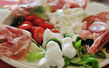 Mozzarella cheese, tomatoes, ham and salad in a plate