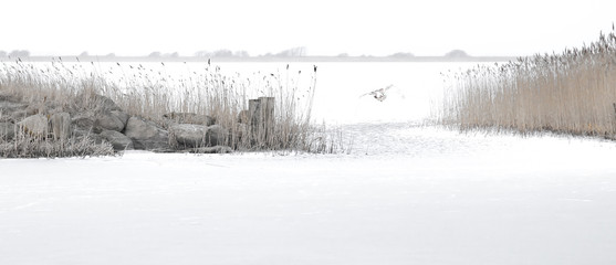 Winter at the Danish inlet