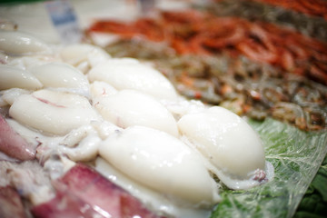 Fresh seafood raw white cuttlefish