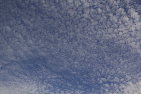 Cirrocumulus Clouds