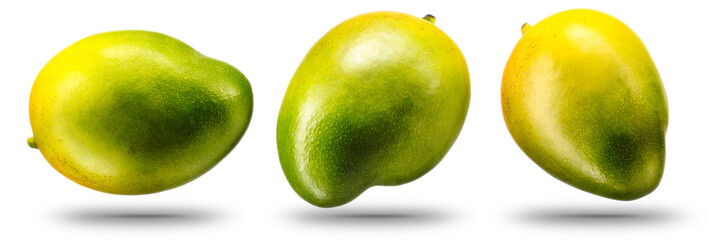 Collection of mango fruit isolated on white background with shiny reflections
