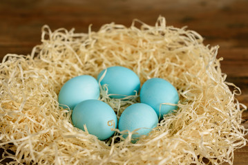 Fototapeta na wymiar Easter eggs in the nest. It can be used as a background