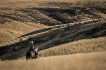Cowboy riding horse