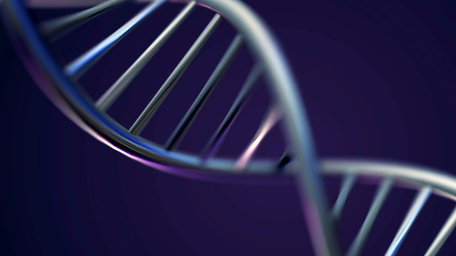 Futuristic Rotating White DNA Strand with Genetic Codes and abstract geometry. Seamless looping animation of rotating DNA strands. Animation rotation of model DNA spiral from glass and crystal, or