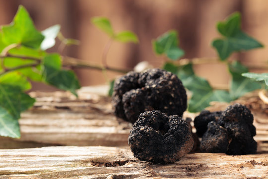 Black truffles on table.