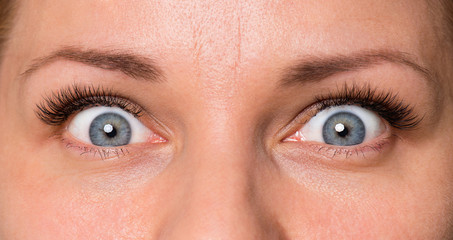 Obraz premium Zbliżenie przestraszona twarz pięknej młodej kobiety o pięknych niebieskich oczach i dużych ładnych rzęsach i brwiach. Makro ludzkich oczu - niespodzianka lub szok, patrząc na kamerę.