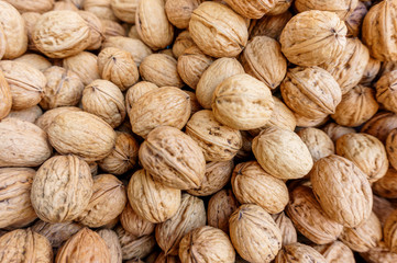 group of european walnuts in peel, natural food background