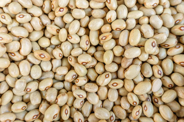 lots of beans close up, bean background