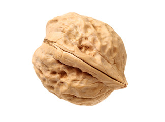 walnuts on white background 