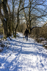 Walking the dog in snow