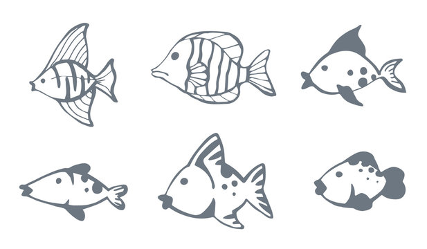 Fish vectors set