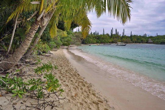 Beach In Isle Of Pines, New Caledonia