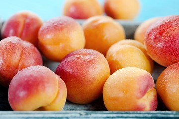 Fototapeta na wymiar Peaches fresh fruit in a basket