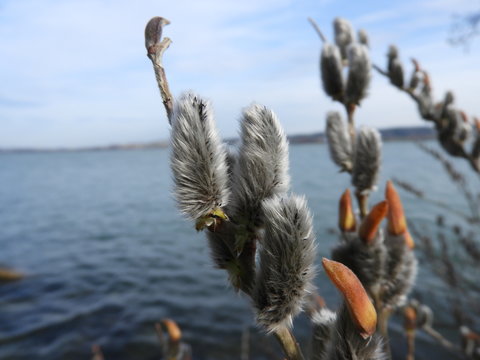 Weidek&auml;tzchen am See