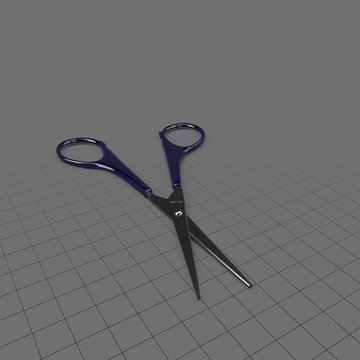 Small scissors, open