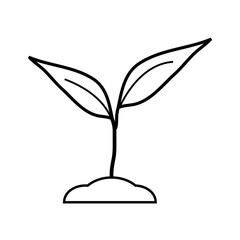 Sprout icon on white.
