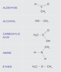 Organic chemical functions