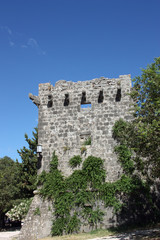 Fototapeta na wymiar Abandoned Castle Tower Ruin