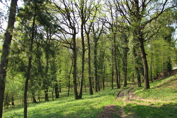 Landscape on Fruska Gora Mountain in Serbia