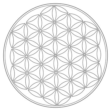 Sacred Geometry Vector Symbol: Flower of Life, also known as The Pattern of Creation. Flower and Seed of Life symbols represent patterns of life as they emerge from the Creator.