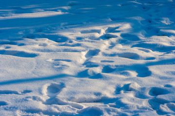 Full of traces on the snow