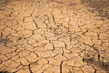Climate change and drought land,