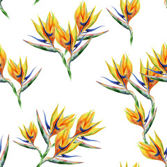 Strelitzia reginae seamless pattern. Watercolor illustration of tropical flower. Banner with tropic summertime motif. Bird of paradise flower. Crane flower. 
