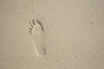 Fototapeta na wymiar footprints on the beach in holiday