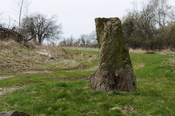 Small menhir, which stands on a meadow on a hill in the Ore Mountains.