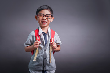 Cheerful smiling little boy with big backpack. Looking at camera. School concept. Back to School