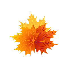 Naklejka na ściany i meble Yellow autumn maple leaves isolated on the white. Simple cartoon flat style, vector illustration.