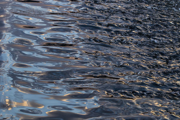 water form