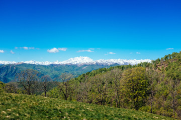 Obraz premium Meadows and hills in spring, in the background the Alpine chain, Piedmont Italy