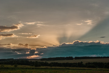 Obraz premium SONY DSC