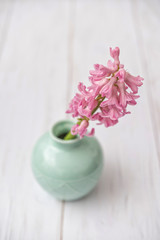 beautiful spring flowers