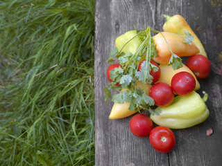 Raw Vegetables And Parsley