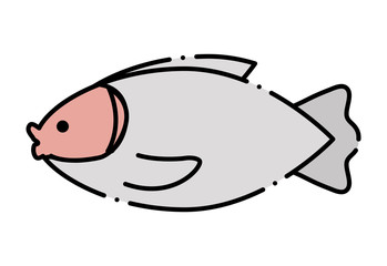 fish icon image