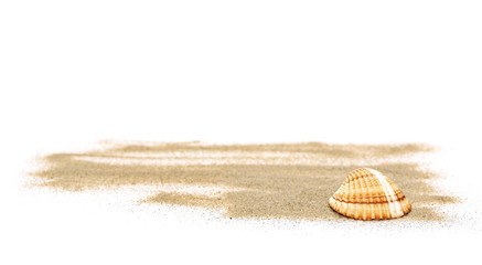 Sea shells in sand pile isolated on white background